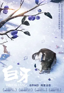 国产一级特黄a大片免费