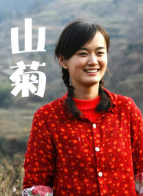 会员的精彩待遇