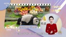 chinese7o老太交yers