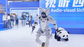 绿野仙踪林视频入口欢迎您